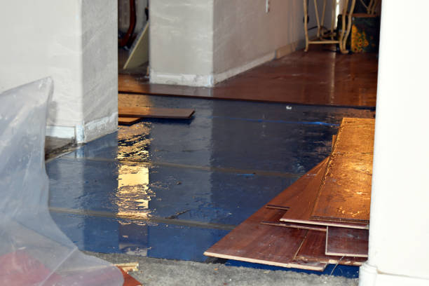 Professional Basement Water Removal technician working in Union City, MI