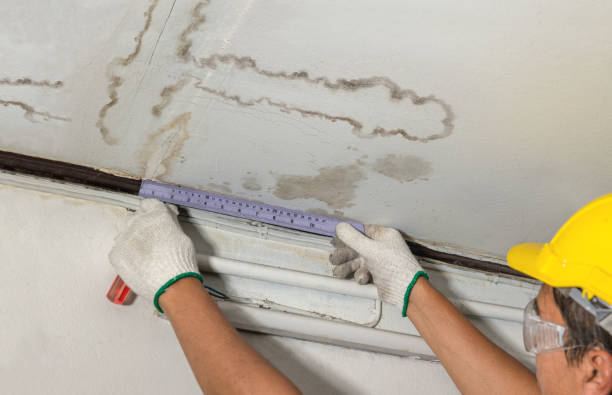 Reliable Basement Water Removal contractor in Union City, MI by Water Damage Irwin